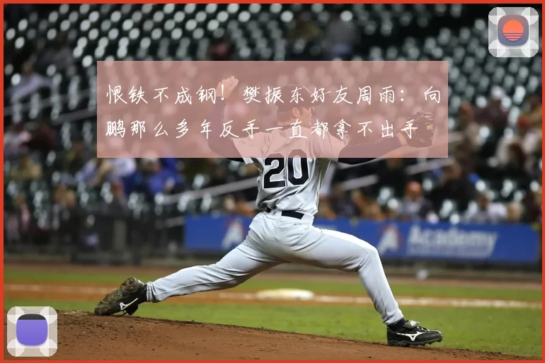 恨铁不成钢!樊振东好友周雨:向鹏那么多年反手一直都拿不出手