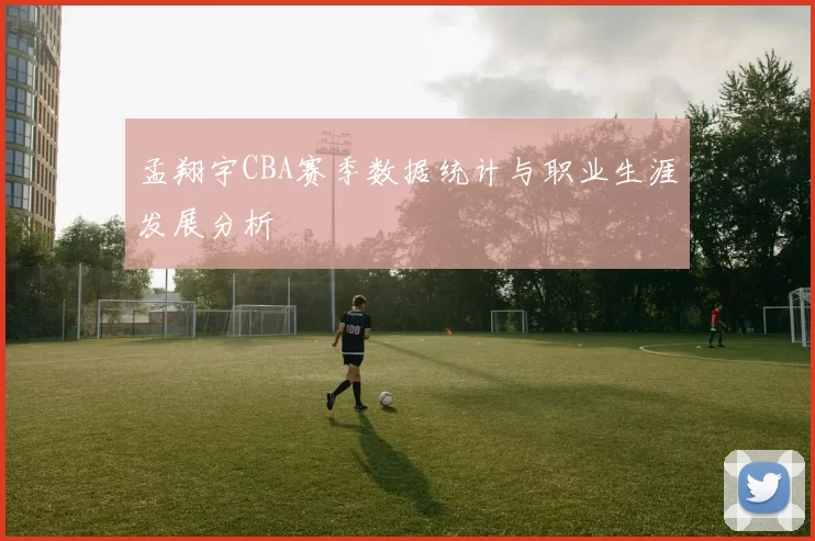 孟翔宇CBA赛季数据统计与职业生涯发展分析