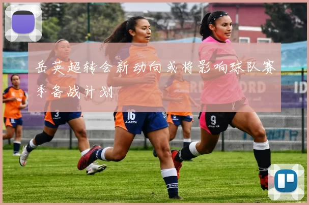 岳英超转会新动向或将影响球队赛季备战计划