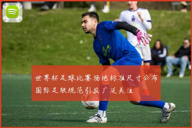 世界杯足球比赛场地标准尺寸公布国际足联规范引发广泛关注