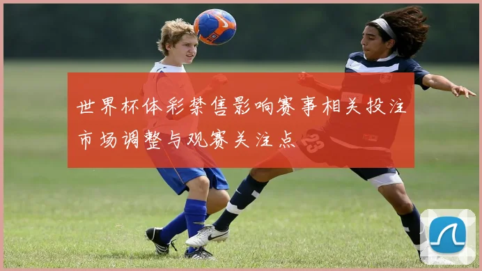 世界杯体彩禁售影响赛事相关投注市场调整与观赛关注点
