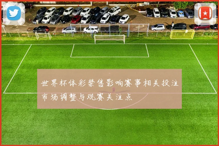 世界杯体彩禁售影响赛事相关投注市场调整与观赛关注点